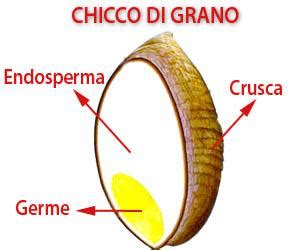 Schema componenti Chicco Trio/Duo