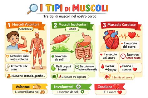 Infografica: Tipi di giubbotti per bambini Prénatal