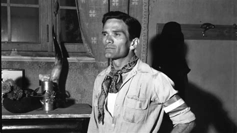 Un ritratto di Pier Paolo Pasolini con un testo in sottofondo che evoca le sue argomentazioni complesse e provocatorie sull'aborto.