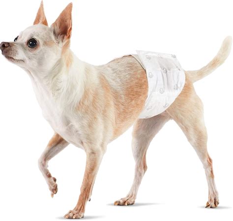 Pannolini usa e getta per cani