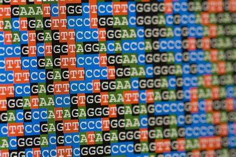 Sequenziamento del DNA fetale per l'identificazione di anomalie cromosomiche