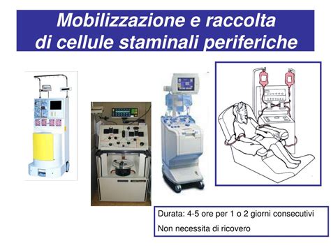 Schema del processo di mobilizzazione e raccolta di cellule staminali da sangue periferico