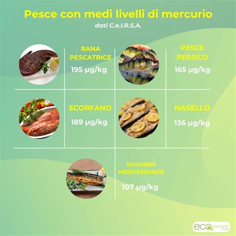 Diagramma che confronta i livelli di mercurio in diversi tipi di pesce