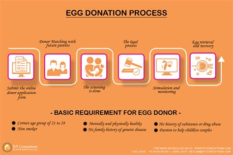 Overview of egg donation process infographic