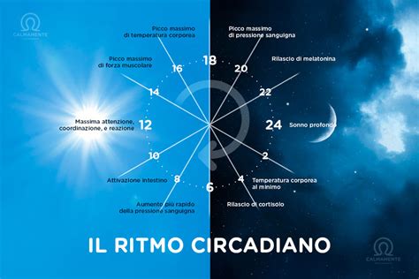 diagramma che illustra il ritmo circadiano e come aiutarlo