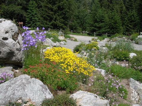 Giardino botanico di Castel Savoia