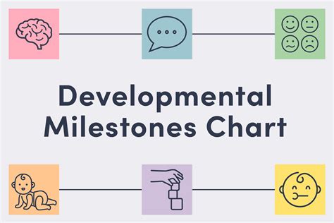 Schematic representation of infant growth milestones related to food introduction