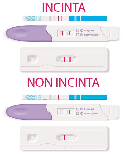 Infografica su come utilizzare un test di gravidanza