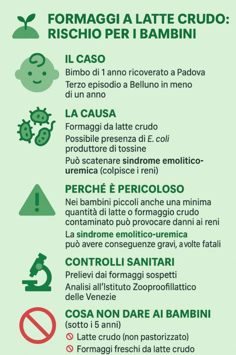 Infografica sui rischi della preparazione non corretta del latte in polvere