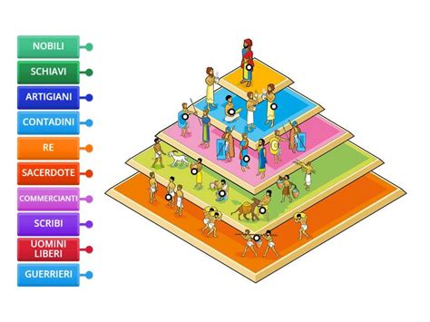 Schema dell'organizzazione sociale dell'alveare