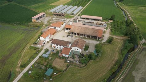 Giovane agricoltore che studia documentazione e usa tablet in azienda agricola