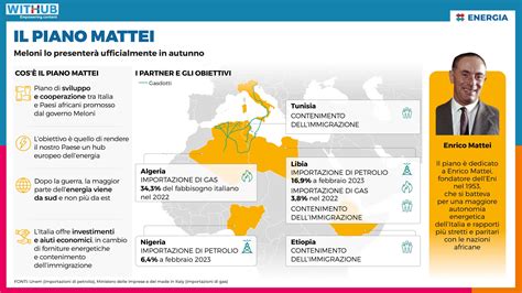 Infografica che spiega il Baby FACS