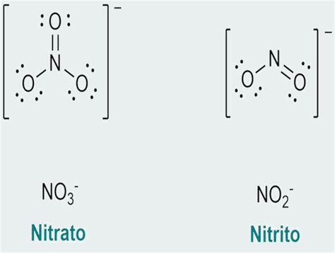 Diagramma che mostra la conversione di nitrato in nitrito e l'effetto sulla metaemoglobina