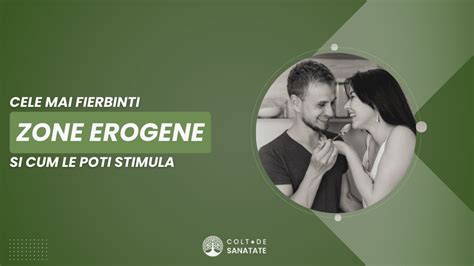 illustrazione anatomica stilizzata delle zone erogene