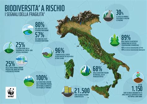 Infografica che illustra le caratteristiche principali di diversi marchi di pannolini ecologici
