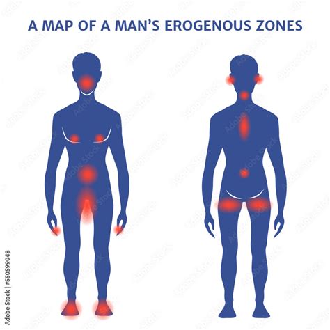 Mappa delle zone erogene maschili