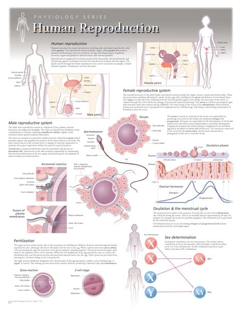 Infographic showing different reproductive technologies