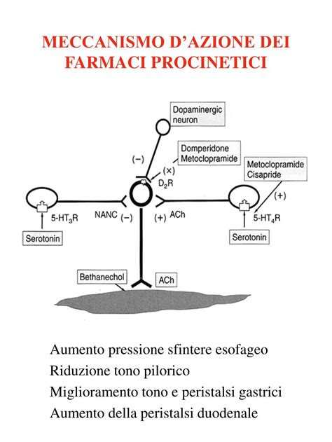 Meccanismo d'azione Buscopan