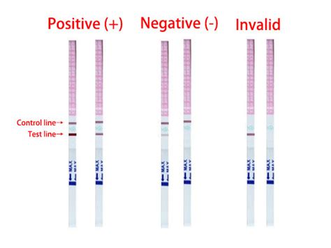 Ovulation test strips with control and test lines
