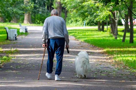 Cane anziano che cammina con difficoltà