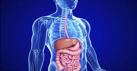 infografica illustrativa sul funzionamento del sistema digerente del neonato e gestione del reflusso