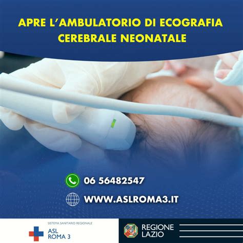 Sviluppo fetale e vulnerabilità cerebrale in un ambiente neonatale