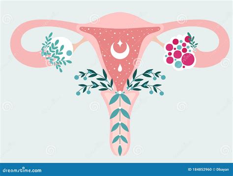 schema anatomico dell'utero con indicazione delle possibili alterazioni endometriali