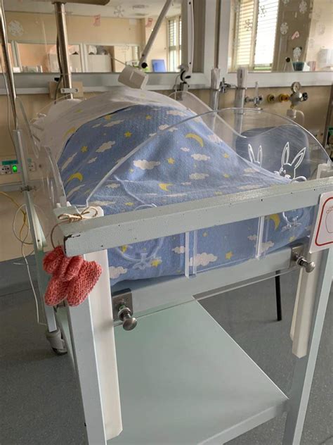 neonati in culle trasparenti in reparto ospedaliero