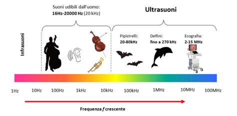 diagramma esplicativo del funzionamento degli ultrasuoni e della ricostruzione volumetrica