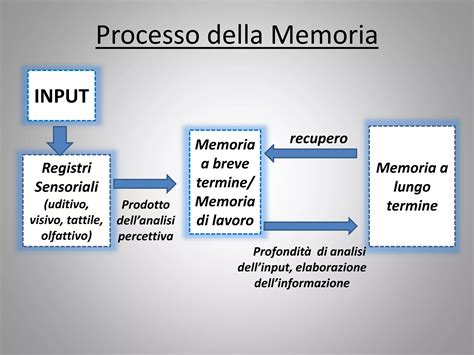 rappresentazione stilizzata del processo di elaborazione cognitiva e memorizzazione degli stimoli