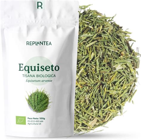 Diverse forme di Equiseto: tisana, capsule e polvere