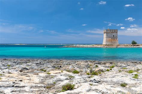 Attività di snorkeling nelle acque cristalline di Porto Cesareo