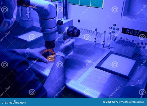 Embriologo che esamina embrioni al microscopio