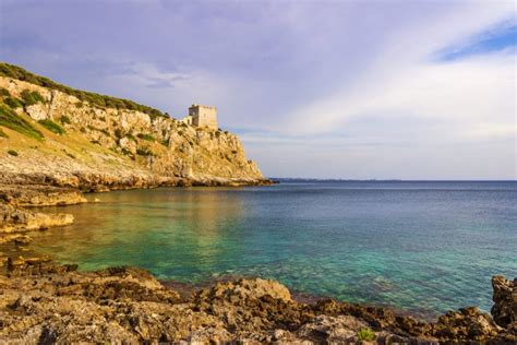 Sentiero immerso nella pineta che conduce alla baia di Porto Selvaggio