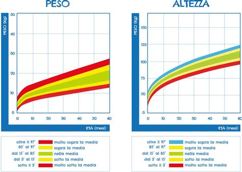 grafico che mostra la crescita media del piede in base all'età