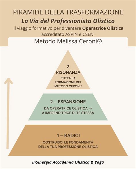 diagramma sulla piramide della formazione professionale in ambito olistico
