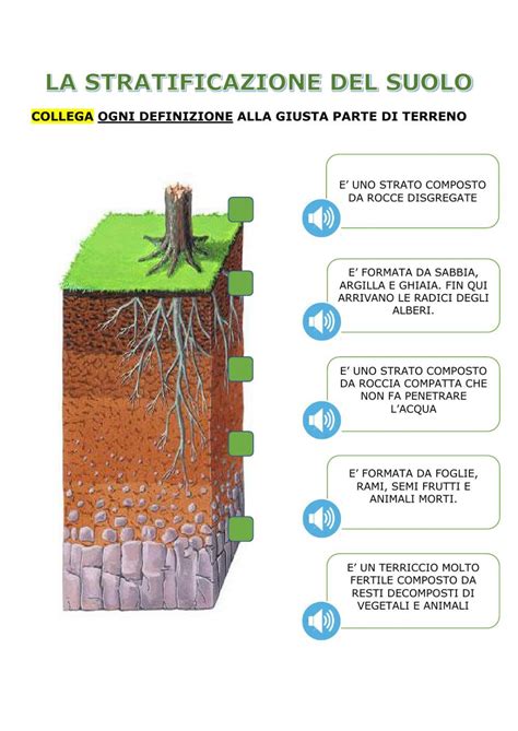 schema grafico che mostra la stratificazione degli elementi di un fiocco a forma di mongolfiera con nuvola centrale
