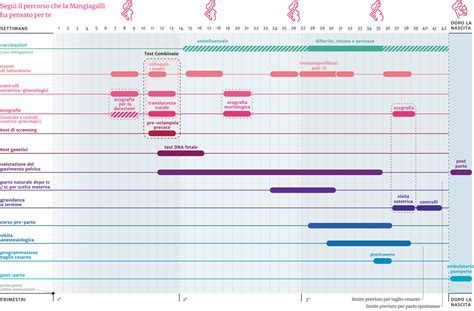 diagramma che illustra il calendario delle principali visite e esami previsti in gravidanza
