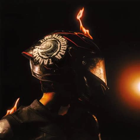 Copertina dell'album CalmoCobra e simboli musicali associati