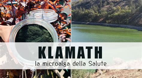 Microalga Klamath