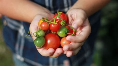 Benefici del pomodoro per la salute