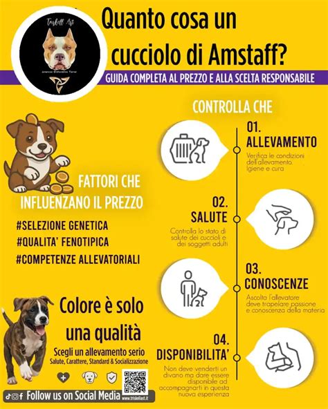infografica fattori scelta pannolino cucciolo