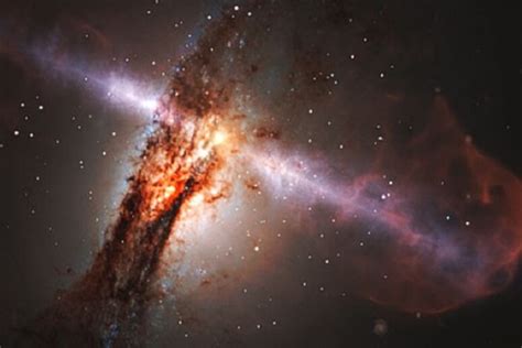 rappresentazione artistica dell'evoluzione umana e primordiale