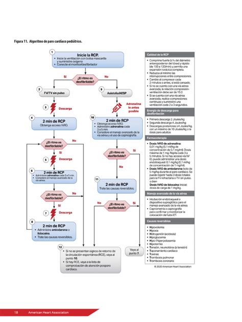 algoritmo decisionale pediatrico basato sui livelli di PCR