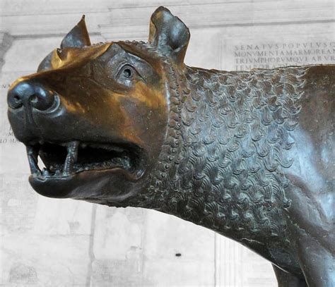 Dettaglio testa della Lupa Capitolina