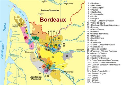 vigneti che fiancheggiano la Garonna nella regione di Bordeaux
