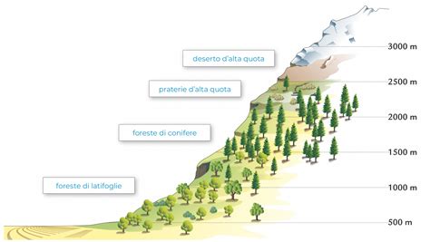 infografica che mostra la gerarchia delle nubi in base all'altitudine