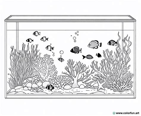 disegno stilizzato di un acquario con pesci colorati e alghe