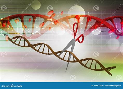 Illustrazione schematica di forbici molecolari CRISPR che tagliano il DNA
