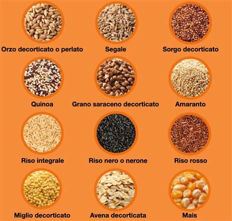 confronto tra chicchi di grano raffinati e integrali
